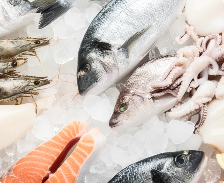 A Commitment to Sustainable Seafood Supply 1